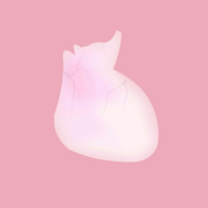 银河总站网址生命汉化版下载安装-银河总站网址生命汉化版游戏下载v1.0